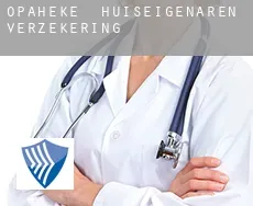 Opaheke  huiseigenaren verzekering