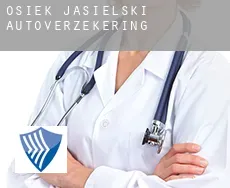 Osiek Jasielski  autoverzekering