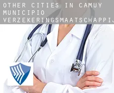 Other cities in Camuy Municipio  verzekeringsmaatschappij