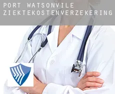 Port Watsonvile  ziektekostenverzekering