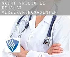 Saint-Yrieix-le-Déjalat  verzekeringsagenten