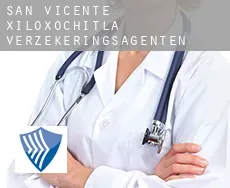 San Vicente Xiloxochitla  verzekeringsagenten