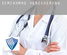 Semiahmoo  verzekering