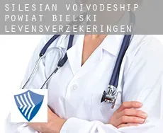 Powiat bielski (Silesian Voivodeship)  levensverzekeringen