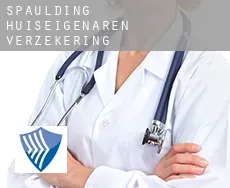 Spaulding  huiseigenaren verzekering