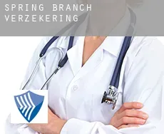 Spring Branch  verzekering