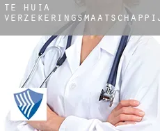 Te Huia  verzekeringsmaatschappij