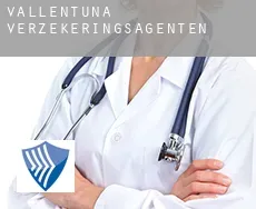 Vallentuna Municipality  verzekeringsagenten