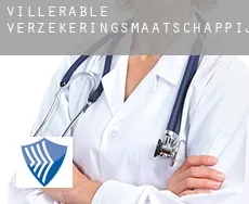 Villerable  verzekeringsmaatschappij