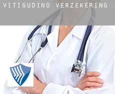 Vitigudino  verzekering