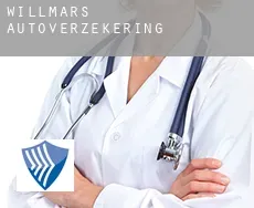 Willmars  autoverzekering