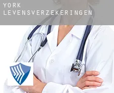 York  levensverzekeringen