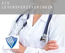Zig  levensverzekeringen