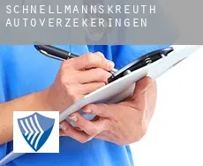 Schnellmannskreuth  autoverzekeringen