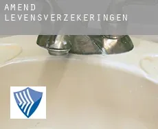 Amend levensverzekeringen