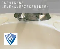 Asahikawa  levensverzekeringen