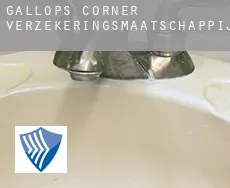 Gallops Corner  verzekeringsmaatschappij