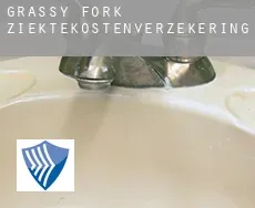 Grassy Fork  ziektekostenverzekering