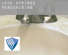 Love Springs  verzekering