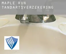 Maple Run tandartsverzekering