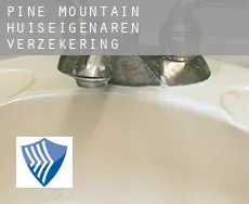Pine Mountain  huiseigenaren verzekering