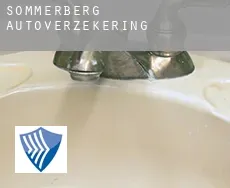 Sommerberg  autoverzekering