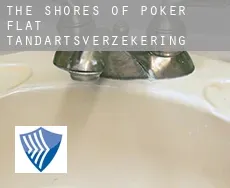 The Shores of Poker Flat tandartsverzekering