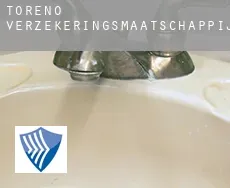 Toreno  verzekeringsmaatschappij
