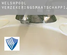 Welshpool  verzekeringsmaatschappij