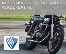 Bad Gams  huiseigenaren verzekering