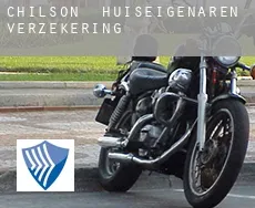 Chilson huiseigenaren verzekering