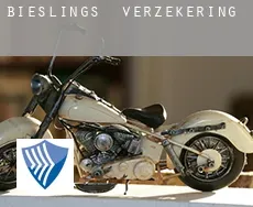 Bieslings  verzekering
