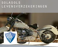 Solasols  levensverzekeringen