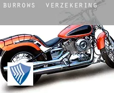 Burrows  verzekering