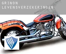 Griñón  levensverzekeringen