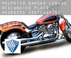 Pulpotio Bareas  huurders verzekering