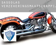 Sassolas  verzekeringsmaatschappij