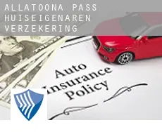 Allatoona Pass  huiseigenaren verzekering