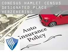 Conesus Hamlet  verzekering