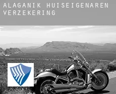 Alaganik  huiseigenaren verzekering