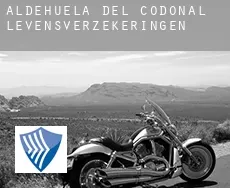 Aldehuela del Codonal levensverzekeringen