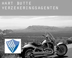 Hart Butte  verzekeringsagenten