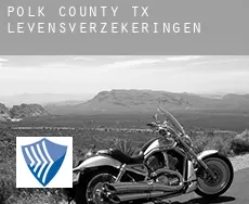 Polk County levensverzekeringen