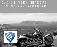 Quince View Meadows levensverzekeringen