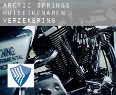 Arctic Springs  huiseigenaren verzekering