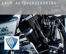 Calm  autoverzekering