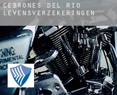 Cebrones del Río  levensverzekeringen