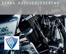 Riana  autoverzekering