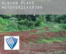 Albion Place  autoverzekering