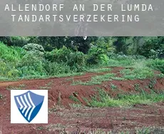 Allendorf an der Lumda  tandartsverzekering